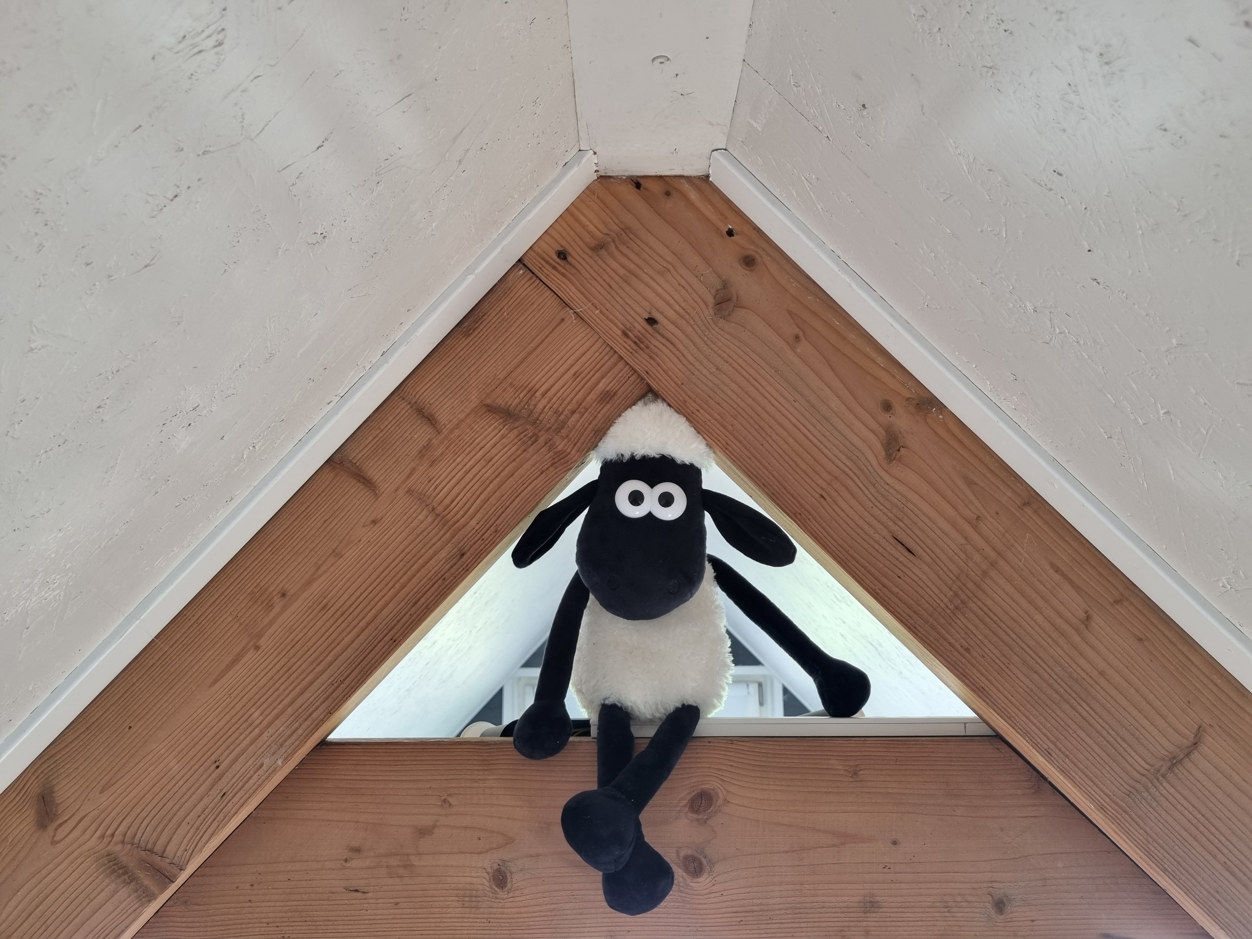 Kamer 2 in Bed & Breakfast De Schapenzolder